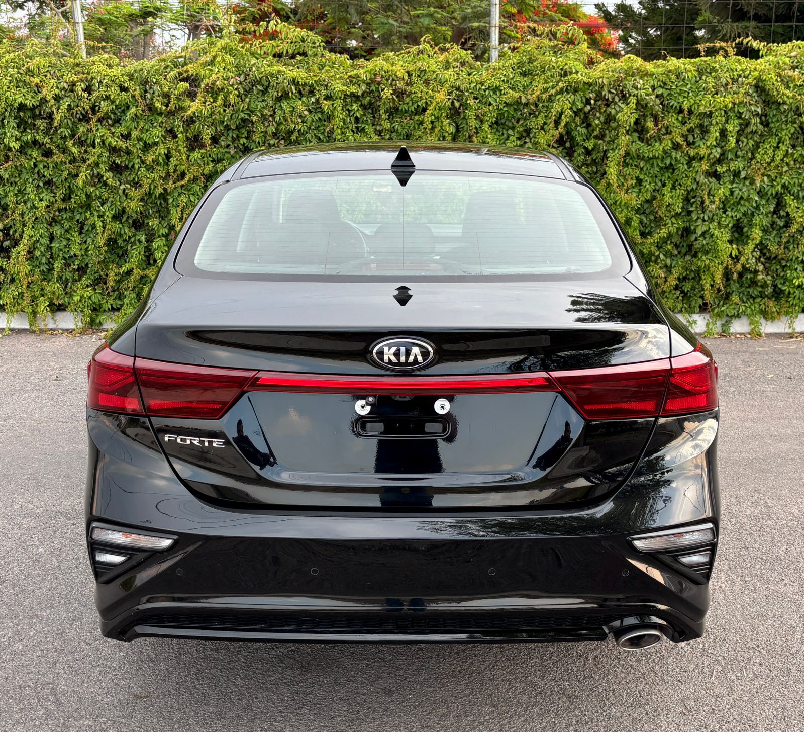 imagen_auto